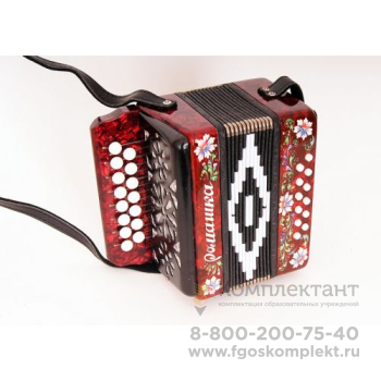 Шуйская гармонь S20XL-C-RED купить для школы в г. Москва