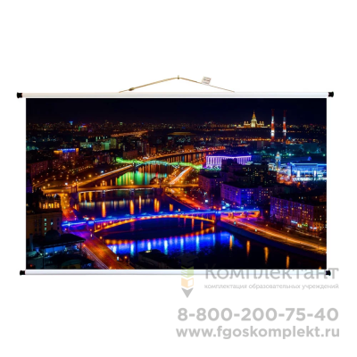 Экран для проектора ПРО-ЭКРАН 250 на 140 см (16:9), 113 дюймов 