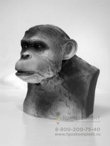 Бюст шимпанзе фото 1