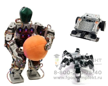 Образовательный модуль для углубленного изучения робототехники. Системы управления робототехническими комплексами. Андроидные роботы, Комплектация
